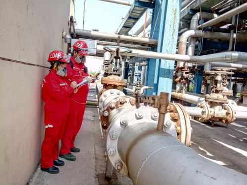 研發(fā)ldar數(shù)據(jù)采集軟件，助力天然氣處理廠(chǎng)高端市場(chǎng)開(kāi)發(fā)